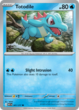 Totodile 041/217 from Pokemon TCG Ascended Heroes