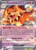 Dachsbun ex 067/142 from Pokemon TCG Stellar Crown