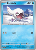 Cetoddle 058/198 from Pokemon TCG Scarlet & Violet