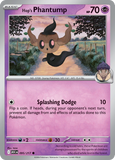 Hop's Phantump 095/217 from Pokemon TCG Ascended Heroes