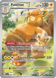 Pawmot 209/198 from Pokemon TCG Scarlet & Violet