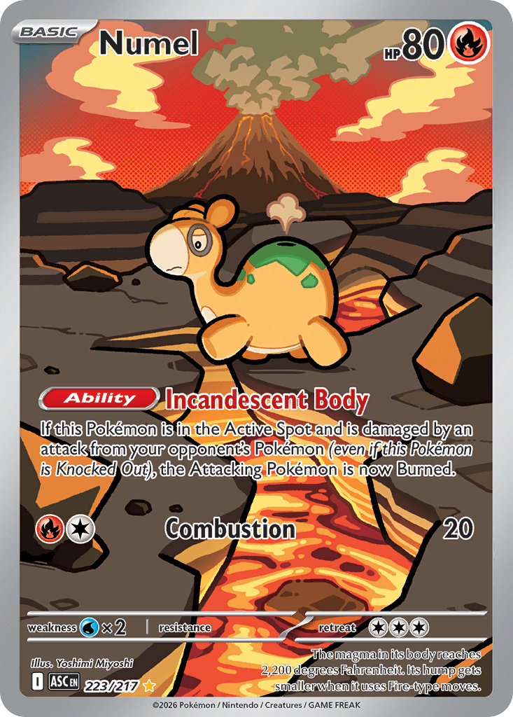 Numel 223/217 from Pokemon TCG Ascended Heroes