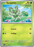 Sprigatito 013/198 from Pokemon TCG Scarlet & Violet