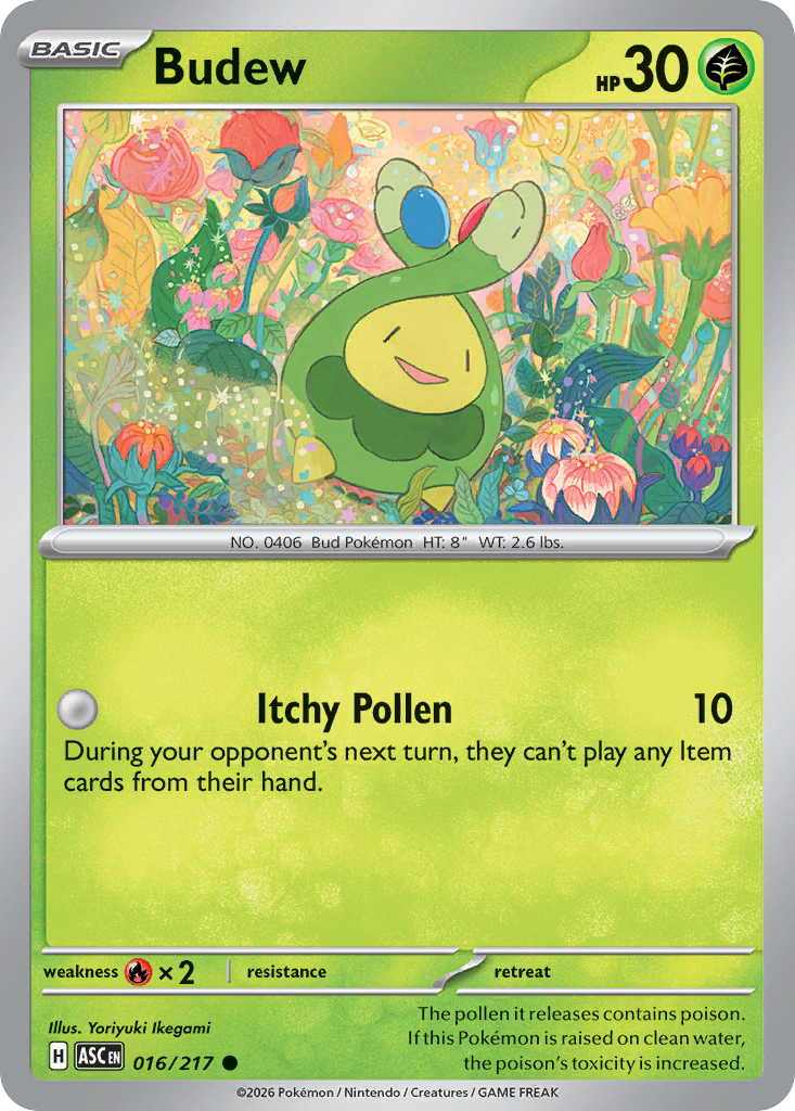 Budew 016/217 from Pokemon TCG Ascended Heroes