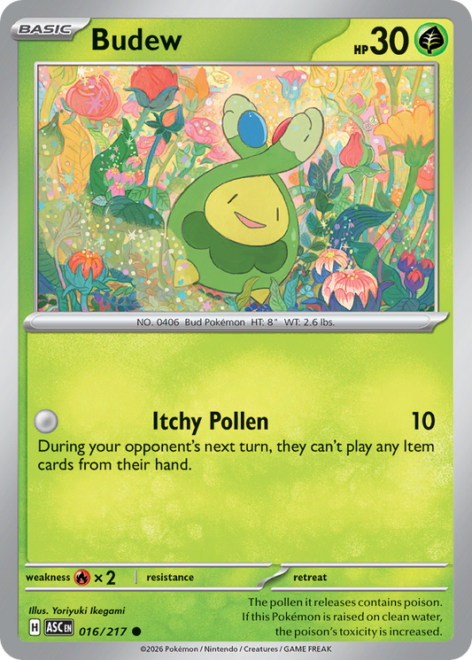 Budew 016/217 from Pokemon TCG Ascended Heroes