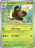 Quilladin 006/086 from Pokemon TCG Chaos Rising