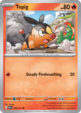 Tepig 029/217 from Pokemon TCG Ascended Heroes