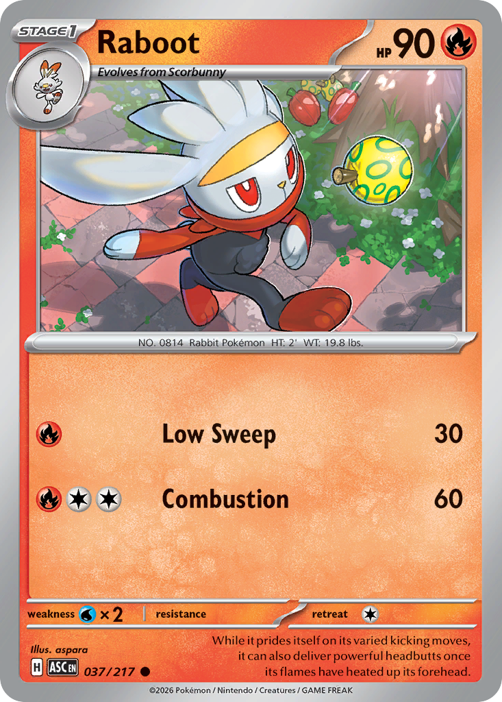Raboot 037/217 from Pokemon TCG Ascended Heroes